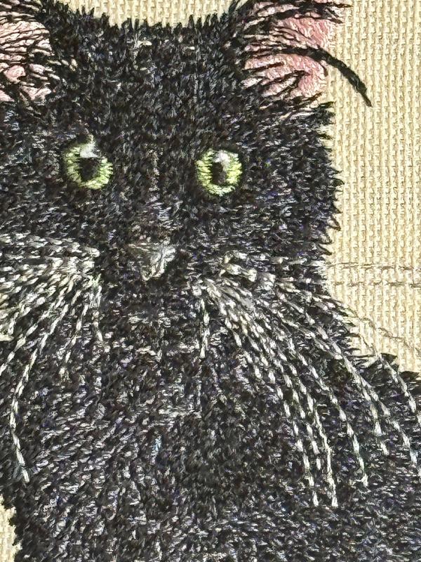 Cat Machine Embroidered and Framed!  Other Designs and Breeds Available!