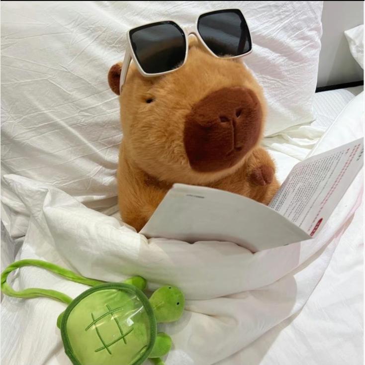 Summer Capybara Plush Toy, CuteSimulation Capybara Stuffed Toy, SoftAnimals Decoration Toy for Home Sofa &Bed,Pets Plush Toys, Bedroom Decor bedroom decor Cute Summer