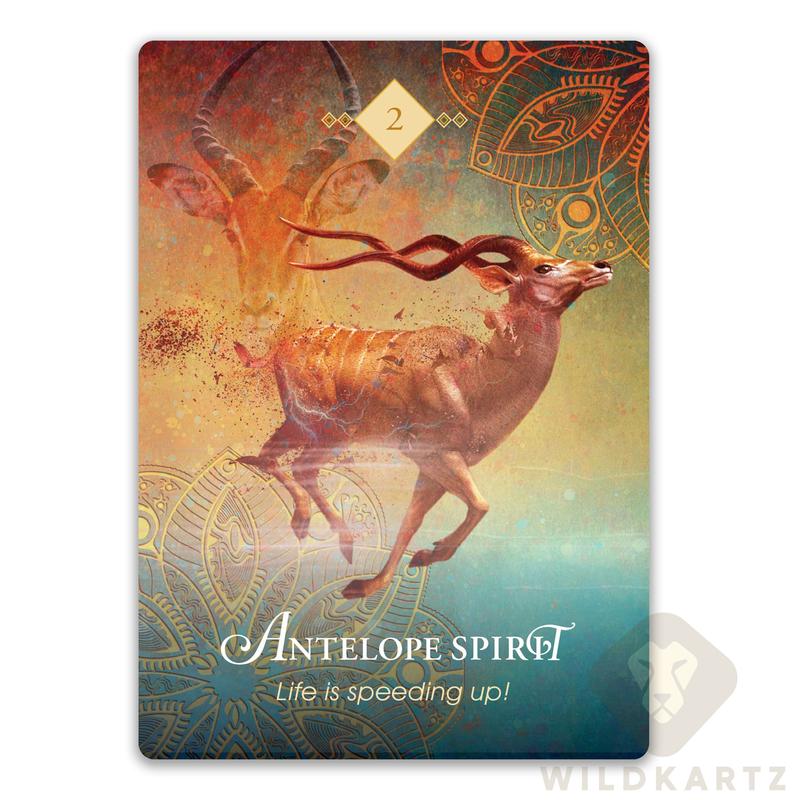 The Spirit Animal Pocket Oracle: A 68-Oracle Card Deck & Guidebook, divination tool for oracle reading, psychic reading, fortune telling, animal tarot cards, unique tarot deck