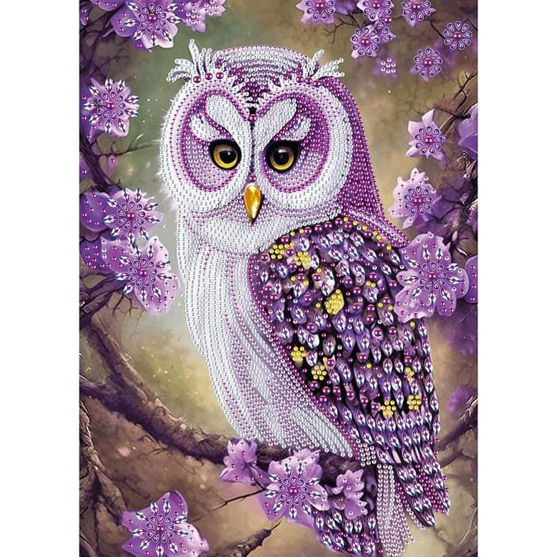 Special Shape 5D Art Kits for Beginners - Crystal Rhinestone Painting for Home Wall Decoration Gift, Owl Design