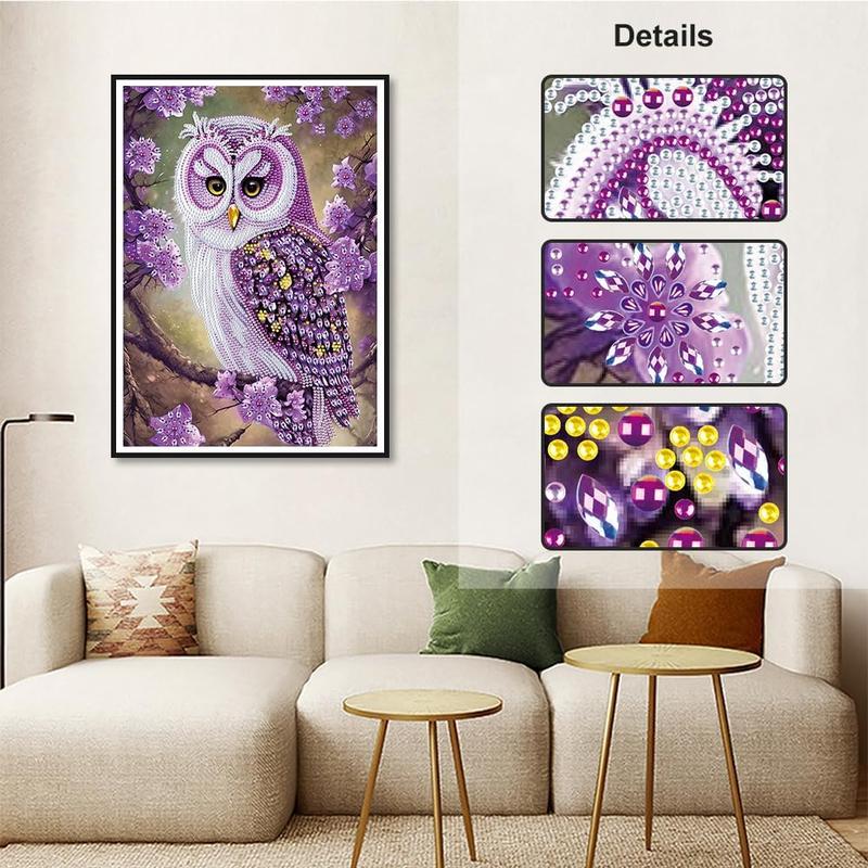 Special Shape 5D Art Kits for Beginners - Crystal Rhinestone Painting for Home Wall Decoration Gift, Owl Design