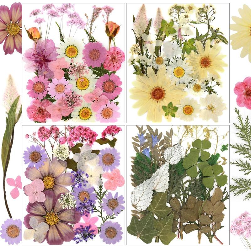 Natural Pressed Dried Flowers Resin, Dry Flowers for Resin Accessories, Dried Flower for Scrapbooking DIY Art Crafts, Epoxy Resin Jewelry Molds, Candle, Soap Making, Craft Making