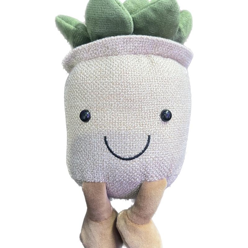 Succulent Plushy