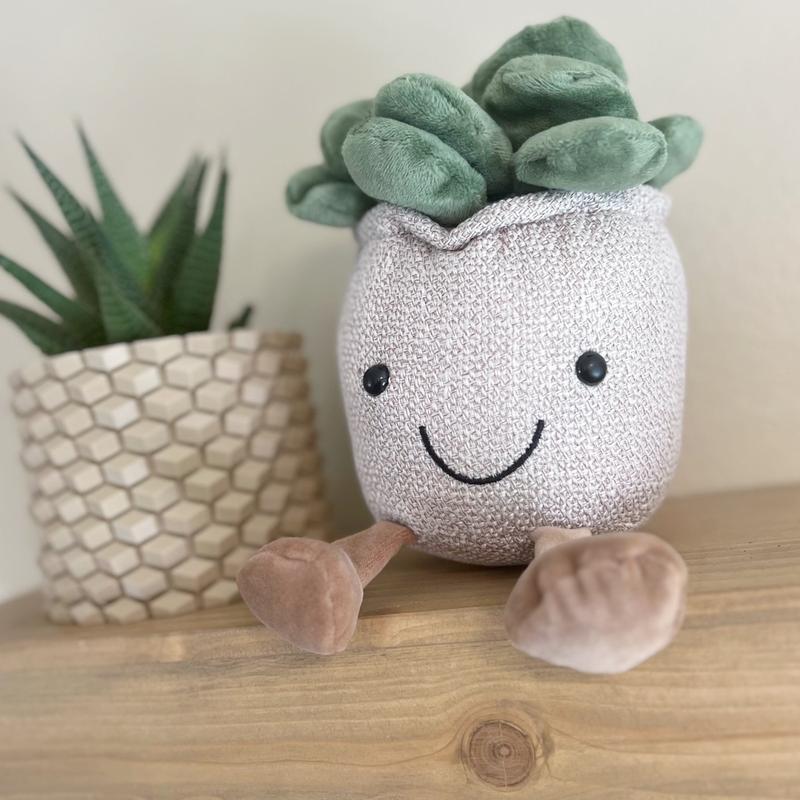 Succulent Plushy