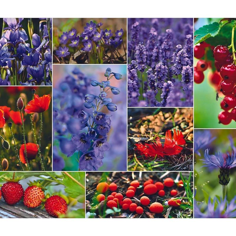 Puzzles for Adults 1000 Pieces - 20x30 in HD Quality Landscape 1000 Piece Puzzle for Adults & Families | Sturdy 2mm Adult Puzzle Pieces | 8 Jigsaw Puzzles Saver Sheets & Full-Sized 1:1 Poster Included