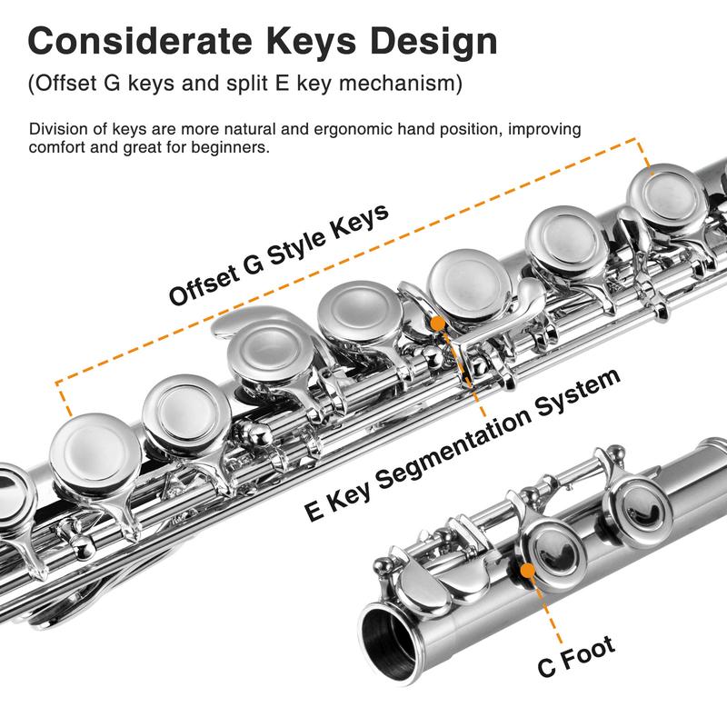 POGOLAB Closed Hole C 16 Keys Flute Instrument, Student Flute for Beginner Advanced Player with Flute Cleaning Kit, Carry Bag, Stand, Strap, Probe Rod, Gloves, for Music Lovers Boys Girls Friends Gift