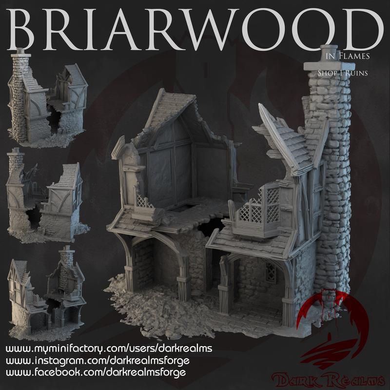 Intricate 3D Printed Fantasy Battle Terrain - Warhammer & D&D, Briarwood Ruins 3