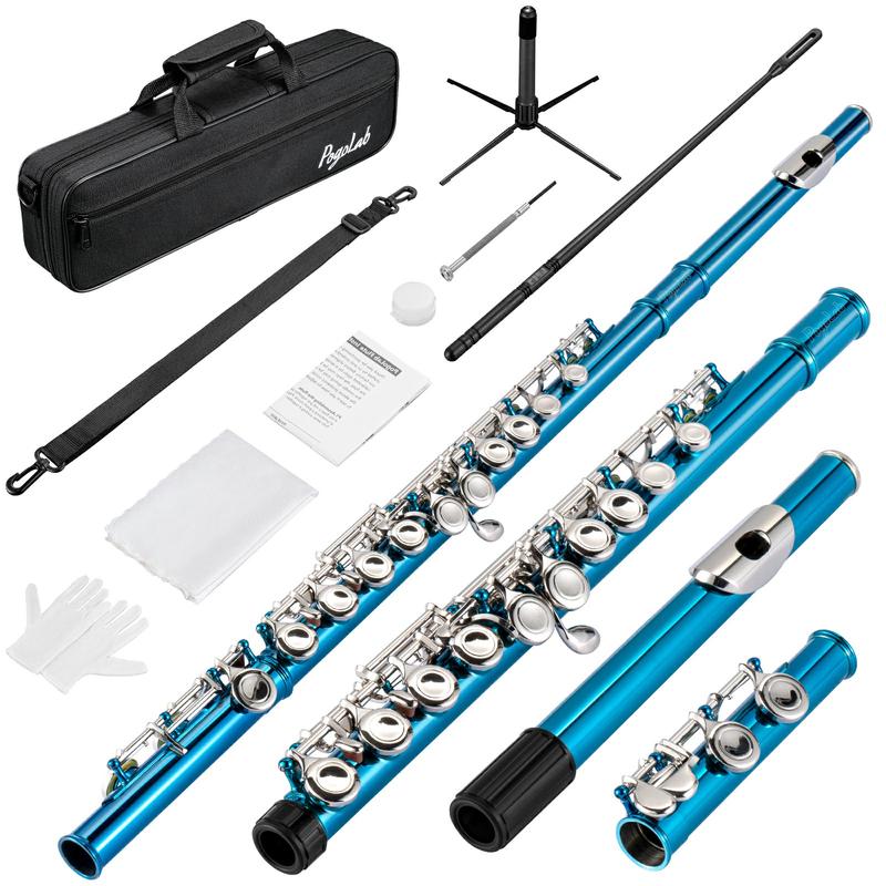 POGOLAB Closed Hole C 16 Keys Flute Instrument, Student Flute for Beginner Advanced Player with Flute Cleaning Kit, Carry Bag, Stand, Strap, Probe Rod, Gloves, for Music Lovers Boys Girls Friends Gift