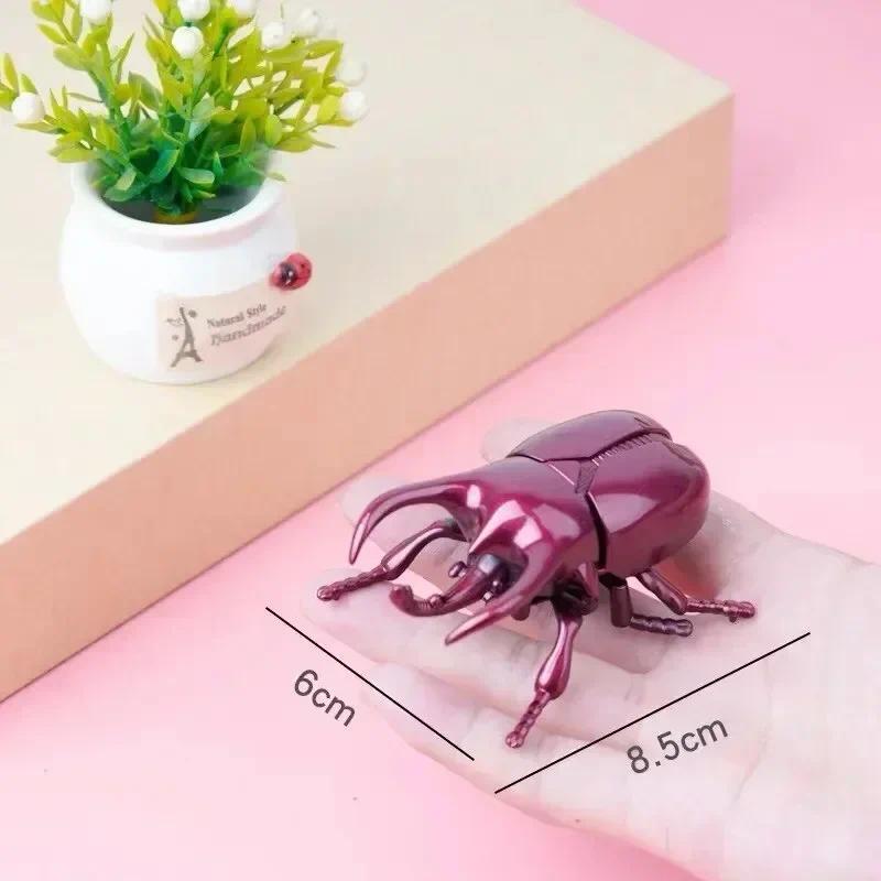 1PC Wind-Up Beetle Creative Prankster Animated Insect Model Scarab Beetle Children's Battle Wind-Up Toy Home Insect Decoration