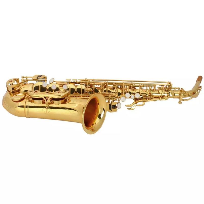 Professional Band Eb Alto Saxophone Paint Gold with Case & Accessories - Perfect for Musicians