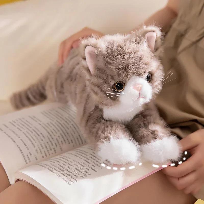 New Cute Simulation Cat Plush Toys Soft Stuffed 5 Colour Kitten Model Fake Cat Realist Animals Kids Girls Valentine's Day Gift