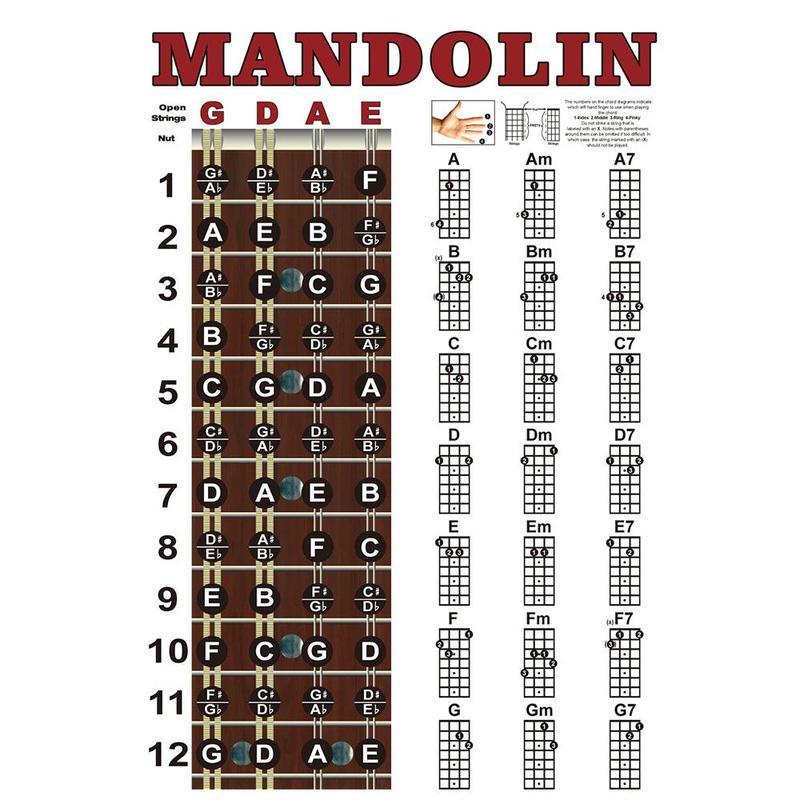 Mandolin Chord Chart Poster, Wall Chart for Comprehensive Reference Guide of Easy Chord Diagrams, Fingerings Practice, Circle of Fifths for Beginner