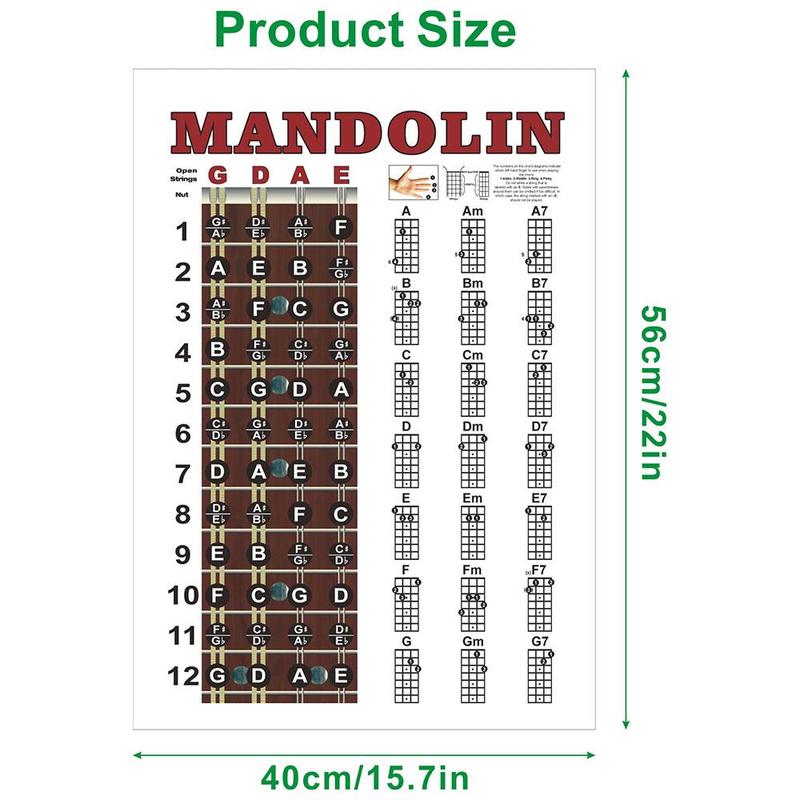 Mandolin Chord Chart Poster, Wall Chart for Comprehensive Reference Guide of Easy Chord Diagrams, Fingerings Practice, Circle of Fifths for Beginner