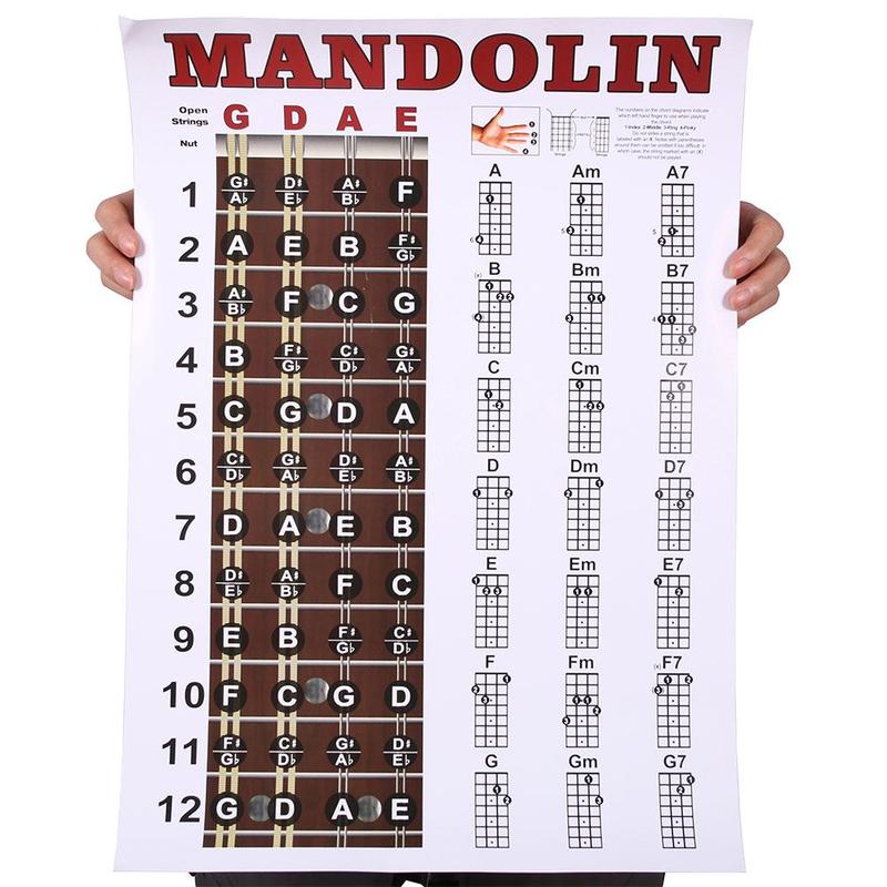 Mandolin Chord Chart Poster, Wall Chart for Comprehensive Reference Guide of Easy Chord Diagrams, Fingerings Practice, Circle of Fifths for Beginner