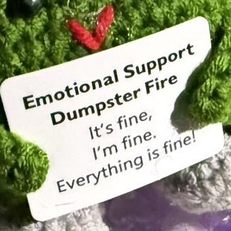 Everything is fine- promise- as long as you have your Emotional support dumpster crotchet buddy with you!