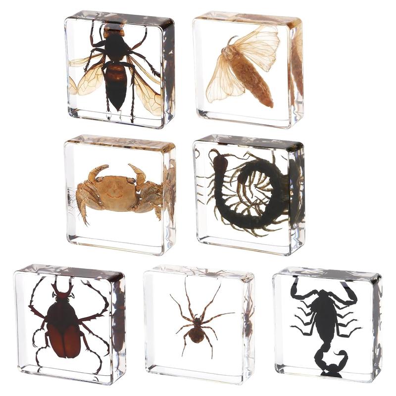 7 Pcs Real Taxidermy Bugs - Insects in Resin for School Lab Entomology Dissection, Bugs in Resin Gifts for Specimen Collector, Family Or Friends (1.5 X 1.5 X 0.6 Inch)