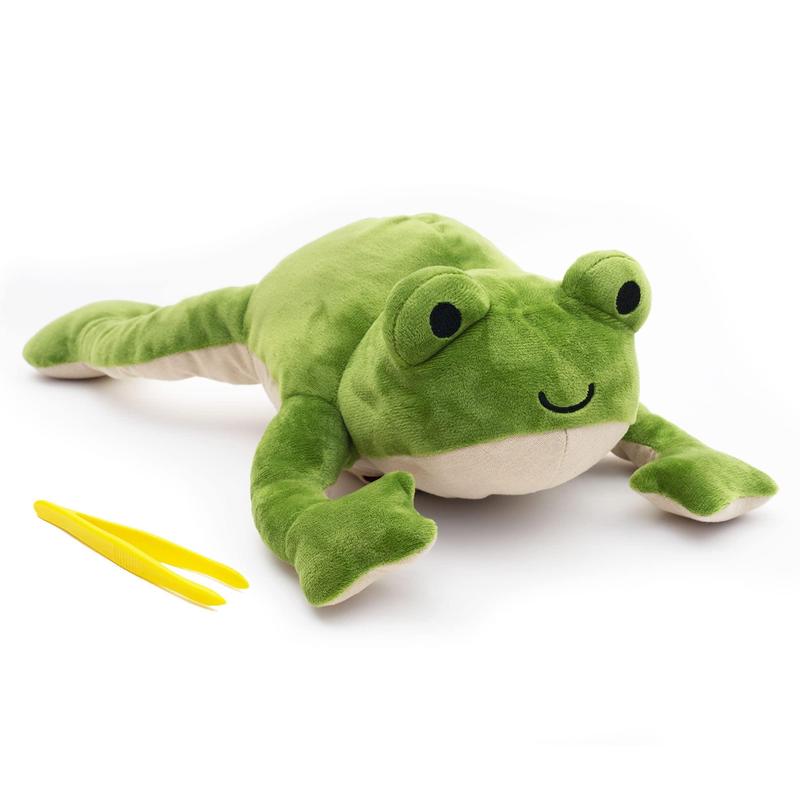 KiwiCo Froggie Lab Dissection, Frog Plush Toy | Anatomy Learning Toy & Stuffed Animal for Fun and Educational Play | Science Toy for Kids, Ages 3 and Up